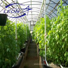 Leon series agriculture greenhouse equipment